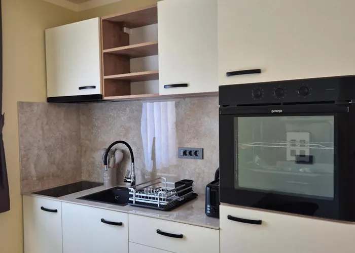 Апартаменты Mega Apartmaji